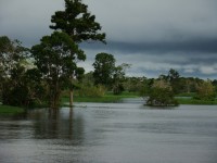 /album/galeria-de-fotos/borba-364-jpg/